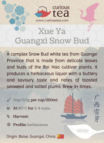 China Guangxi Xue Ya Snow Bud White Tea