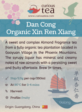 China Guangdong Chaozhou Dan Cong Xin Ren Xiang Organic Phoenix Oolong