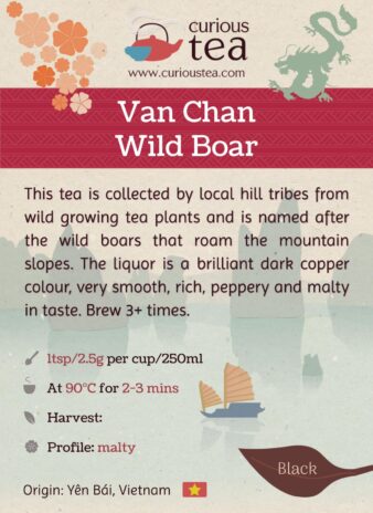 Vietnam Yen Bai Van Chan Wild Boar Wild Black Tea